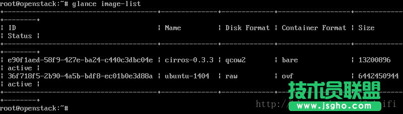 Openstack使用ubuntu镜像启动虚拟机实例详解