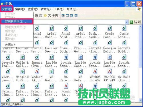 深度技术WINXP系统安装字体(4)