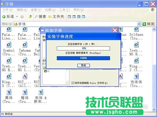 深度技术WINXP系统安装字体(8)