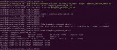 linux如何查看文件的属性