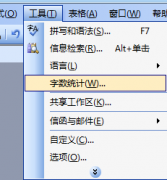 技术员联盟：为word文档计数的几种方法