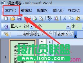 word设置双面打印的步骤 三联
