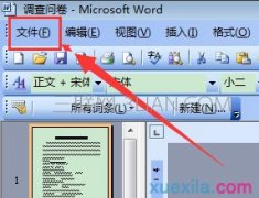 word设置双面打印的步骤