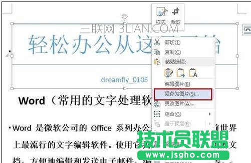 如何把word文字转成图片