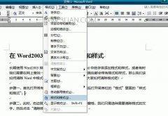 Word文档中如何清除格式和样式