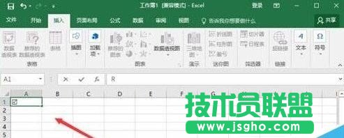 Excel如何插入带勾方框