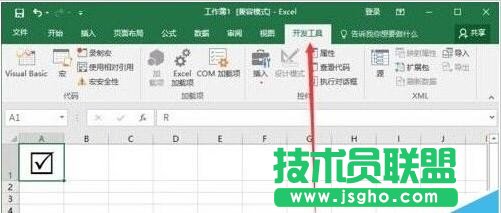 Excel如何插入带勾方框