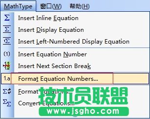 MathType公式格式菜单