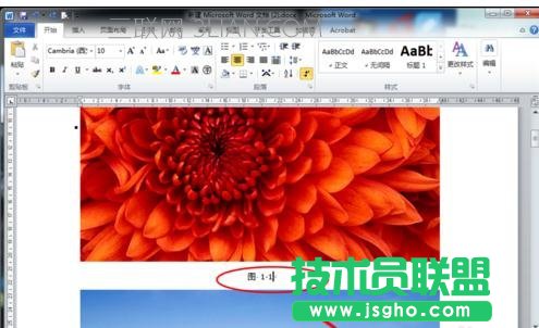word怎么给图片插入注释 三联