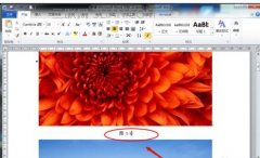 word怎么给图片插入注释