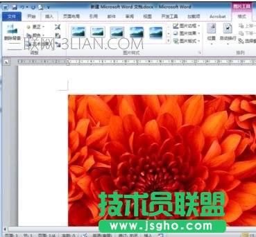 word怎么给图片插入注释