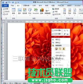 word怎么给图片插入注释
