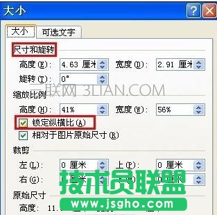word中如何任意调整图片大小