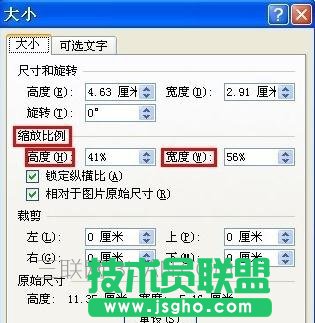 word中如何任意调整图片大小