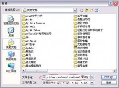 WPS网页复制保存文档文字技巧