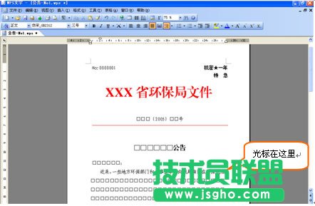 WPS正确编辑公文内容教程