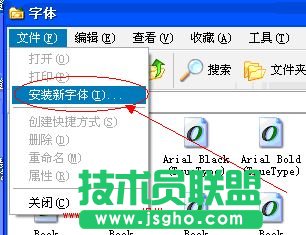 电脑公司winxp系统安装字体(3)