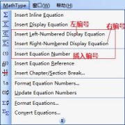 MathType怎么插入公式编号