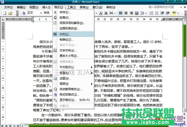 word分栏怎么设置 三联