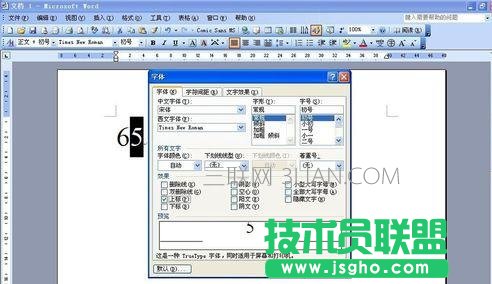 word中如何输入N次方的符号