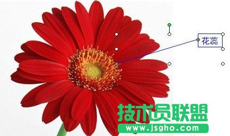 PPT触发器使用全攻略