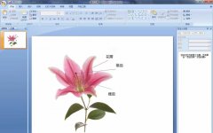 PPT怎么实现简单交互动画