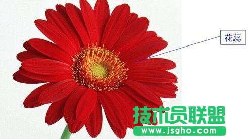 ppt中的触发器怎么用