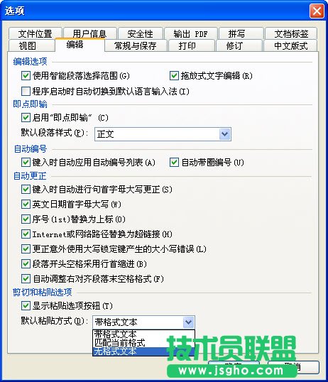 WPS文字快速网上文字规范化教程