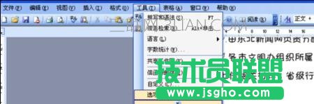 word字体显示不正常怎么办