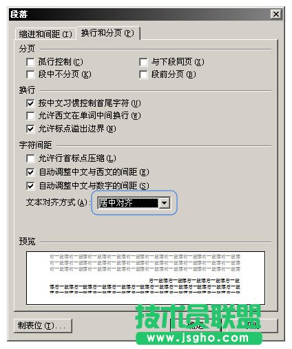 WPS文字制作新词汇教程