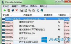 Win8彻底清理浏览器视频缓存的方法