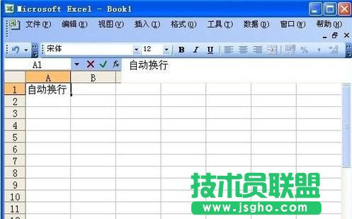 excel单元格内换行技巧
