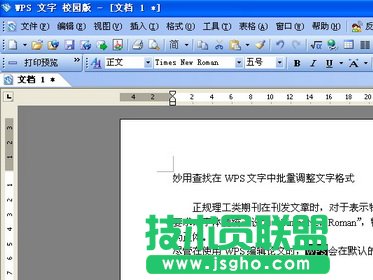 WPS文字如何批量调整文字格式   三联