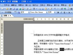 WPS文字如何批量调整文字格式