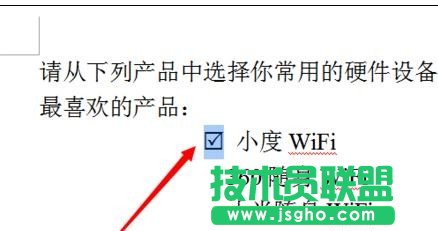wps文字如何输入方框打勾符号