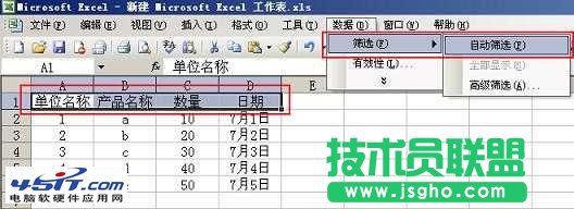 选择自动筛选