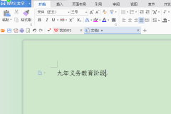 WPS文字如何设置字符底纹