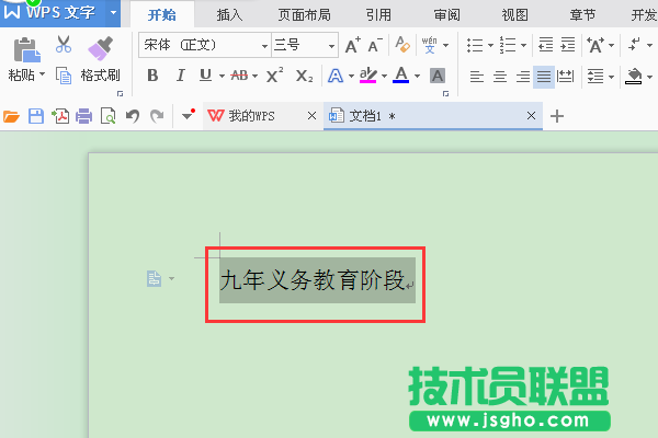 WPS文字如何设置字符底纹
