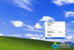 技术员联盟XP系统鼠标指针变成小黑方块