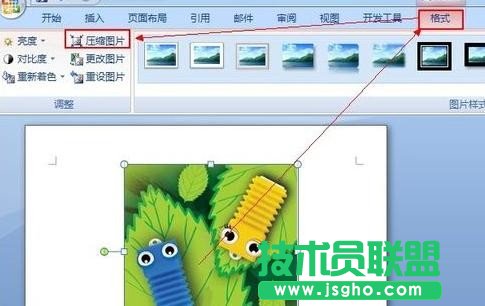 如何解决wps插入图片不显示的问题