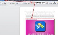 wps文字中图片不显示问题怎么办