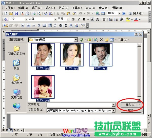 选择图片全插入