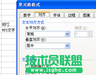 WPS表格速录技巧教程