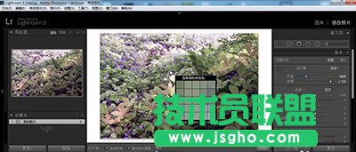 lightroom白平衡怎么调整？   三联