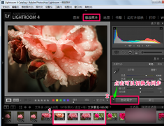 Lightroom怎么批量处理？