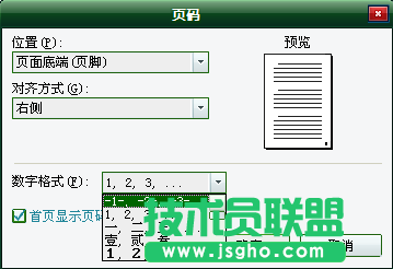 WPS文字页码设置教程