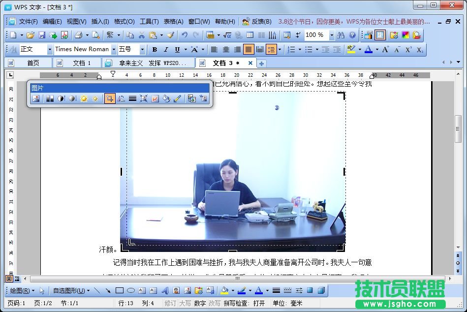 WPS文字打印实用教程