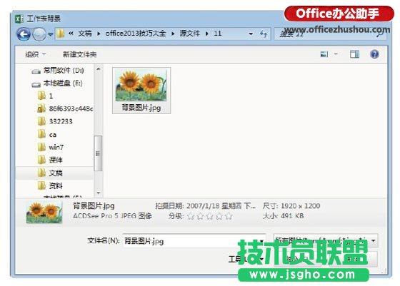 Excel 2013中为数据区域添加背景图片的的方法