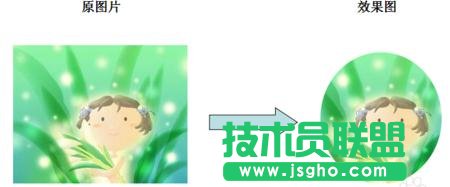 ppt如何制作圆形图片  三联