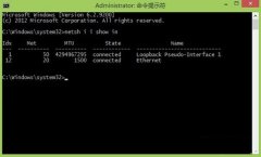 Win8手动绑定ARP的过程